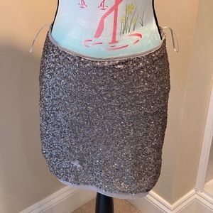 The BEST sequence silver skirt